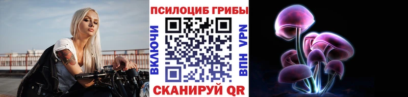 мега ONION  Чадан  Псилоцибиновые грибы Cubensis 