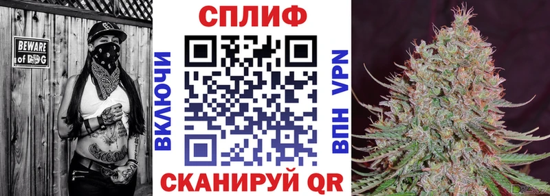 Каннабис план  закладка  ссылка на мегу зеркало  Чадан 
